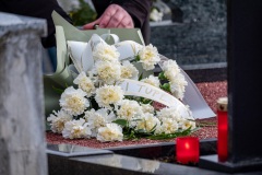 DSCF3685