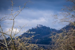 DSCF7081