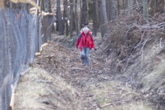 DSCF5324-1