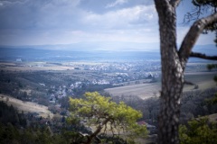 DSCF5531