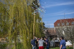 DSCF1042