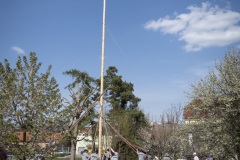 DSCF2120
