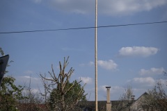 DSCF2282